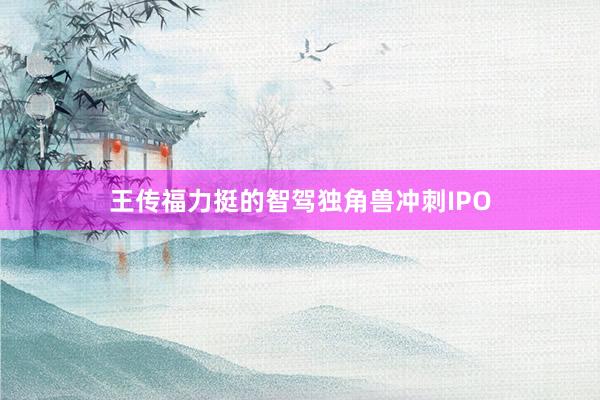 王传福力挺的智驾独角兽冲刺IPO