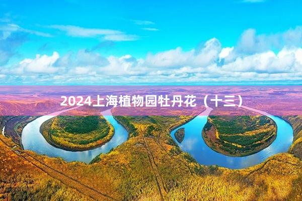 2024上海植物园牡丹花（十三）