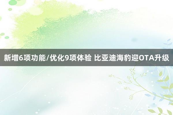 新增6项功能/优化9项体验 比亚迪海豹迎OTA升级