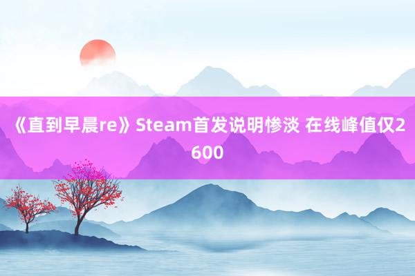 《直到早晨re》Steam首发说明惨淡 在线峰值仅2600