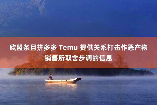 欧盟条目拼多多 Temu 提供关系打击作恶产物销售所取舍步调的信息