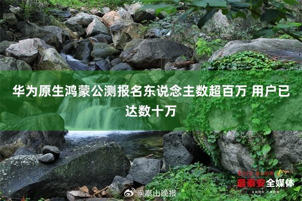 华为原生鸿蒙公测报名东说念主数超百万 用户已达数十万