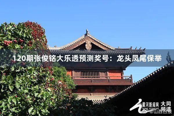 120期张俊铭大乐透预测奖号：龙头凤尾保举