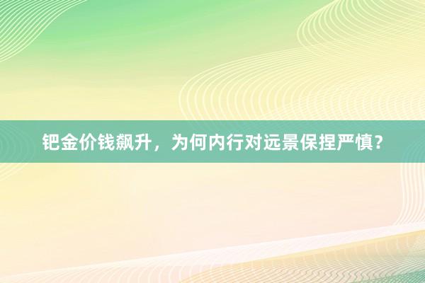 钯金价钱飙升，为何内行对远景保捏严慎？