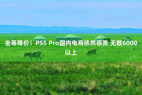 坐等降价！PS5 Pro国内电商依然很贵 无数6000以上